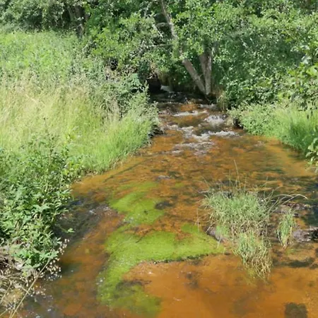 Afgelegen Naast Rivier Omringd Door Bossen In Bergachtige Omgeving *
